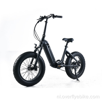 XY-PANDA elektrische fiets met 500w naafmotor